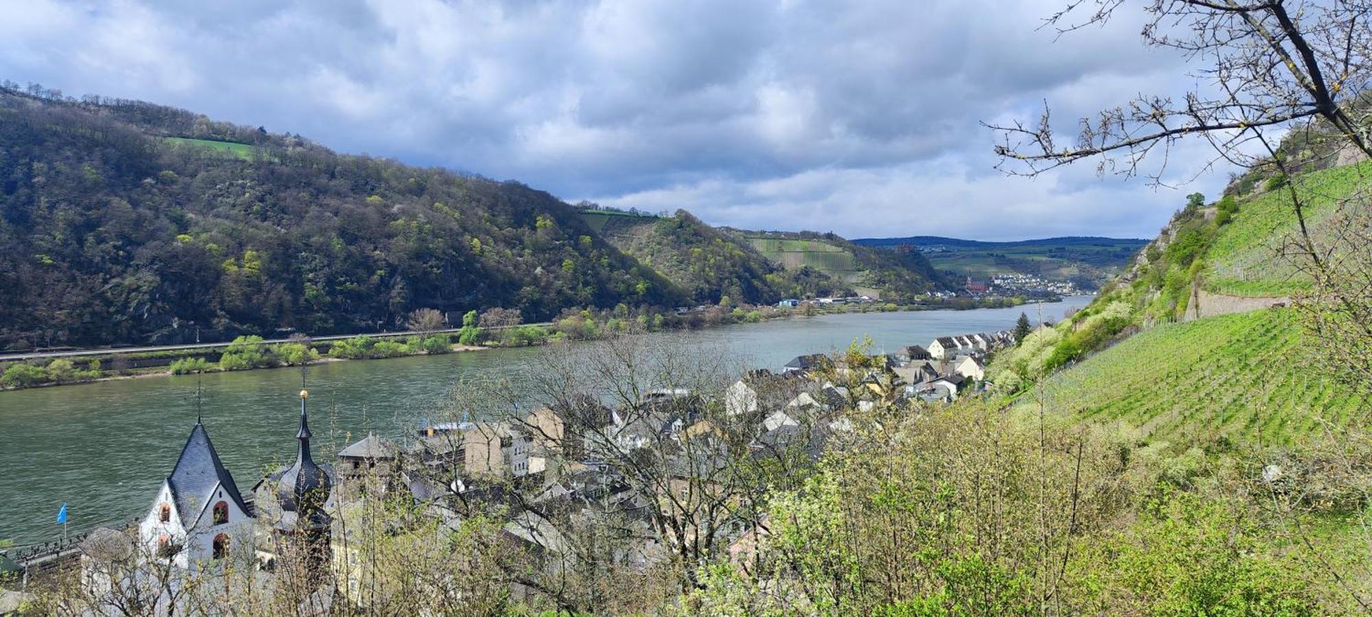 Gemuetliche Wohnung, Kueche, Bad, Netflix, Rheinblick Кауб Екстер'єр фото
